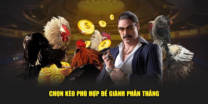 Chọn kèo phù hợp để giành phần thắng