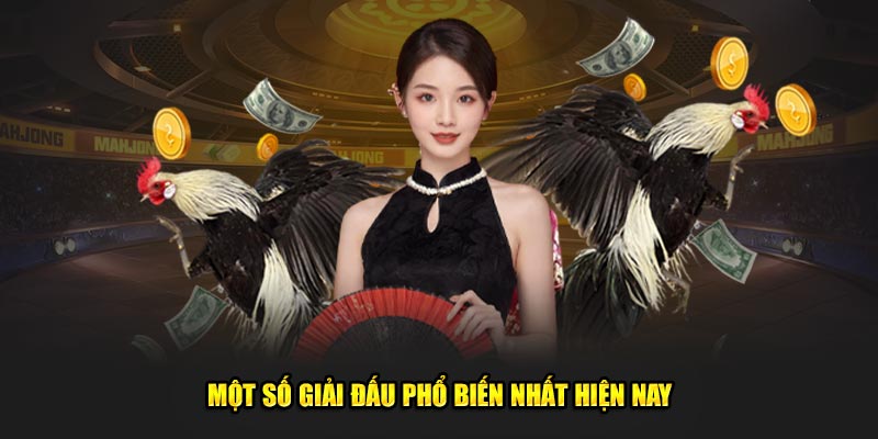 Một số giải đấu phổ biến nhất hiện nay