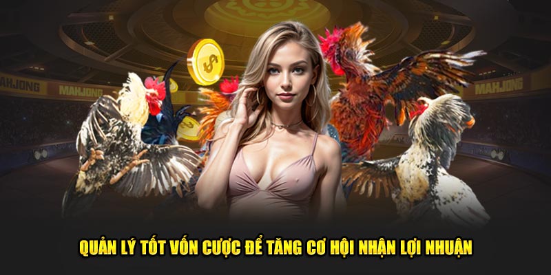 Quản lý tốt vốn cược để tăng cơ hội nhận lợi nhuận