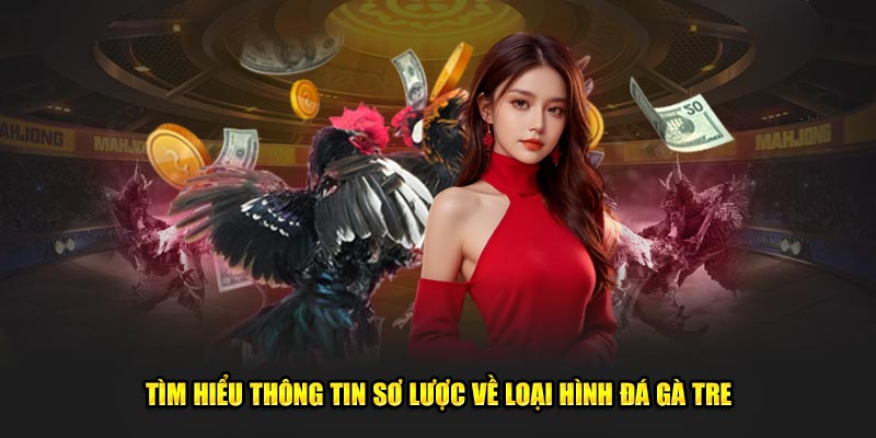 Tìm hiểu thông tin sơ lược về loại hình đá gà tre
