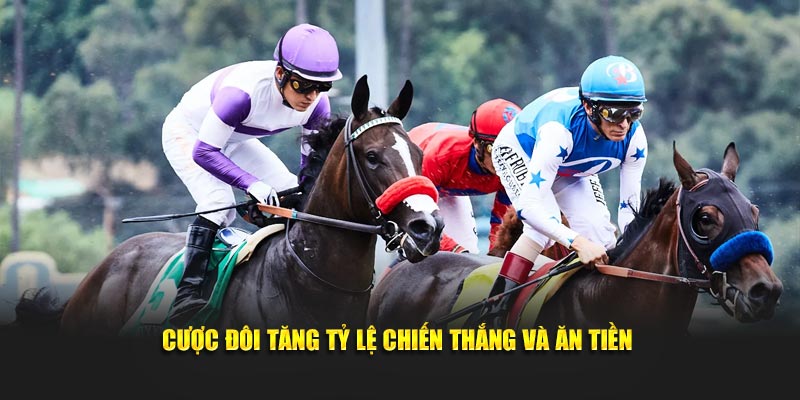 Cược đôi tăng tỷ lệ chiến thắng và ăn tiền 