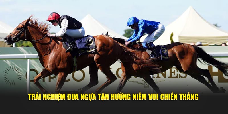 Trải nghiệm đua ngựa tận hưởng niềm vui chiến thắng 